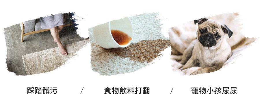 需要家居地毯清潔 家居地毯清潔