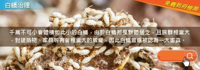 白蟻治理 白蟻治理