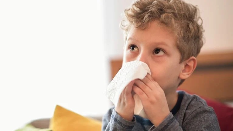過敏性鼻炎 過敏性鼻炎